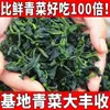 Novedad Peso neto 500g Papas Fritas de Espárragos Verduras Deshidratadas Verduras de Oliva Verduras Secas Bok Choy Deshidratado Colinabo Verduras Secas