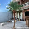Árbol de coco artificial a gran escala, fibra de vidrio, resistente a los rayos UV, apto para uso en exteriores e interiores, ideal para hoteles, centros comerciales y diseño de paisajes tropicales