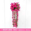 Flor Violeta Simulada Flor Falsa Rattan Decorativo Flor Simulada Pendurada na Parede Cesto Pendurado Orquídea Pendurada Flor Flor de Seda Vinha Enrolada