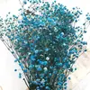 Pacote de Material DIY Flor Eterna 1g Gradiente Cabeça Grande Mosquitinho Estrela Milionária Buquê de Flores Secas Flor Eterna Flor Real