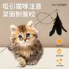 Brinquedos para Gatos CFA Competição-Nível Varinha Provocadora Haste Longa Cabeça de Reposição Brinquedo para Gato Resistente a Mordidas Autoconfiança Suprimentos para Animais de Estimação Atacado