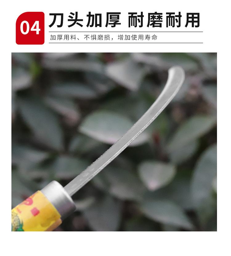 详情_09.jpg