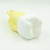 Suministro de Modelo Dental, Modelo de Enseñanza Oral, Dientes Puntiagudos, Dientes de Corte, Amplificación de Molares, Suministro de Fábrica, Suministro Suficiente