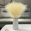 Flor artificial Reed 55 cm Cabeça Única Estilo Nórdico Decoração Ornamentos Internet Celebridade ins buquê high-end decoração casamento casa