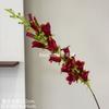 Vermelho vinho popular material de flor de simulação Eucalipto Hortênsia palma vermelha rosa vermelha com salão de casamento estrada atacado