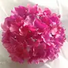Cabeça de Hortênsia Grande Material de Tecido de Lã Pétalas Triangulares Flores Artificiais Flores Falsas Flores de Seda Casamento Floral Parede de Flores Guia de Caminho Arco