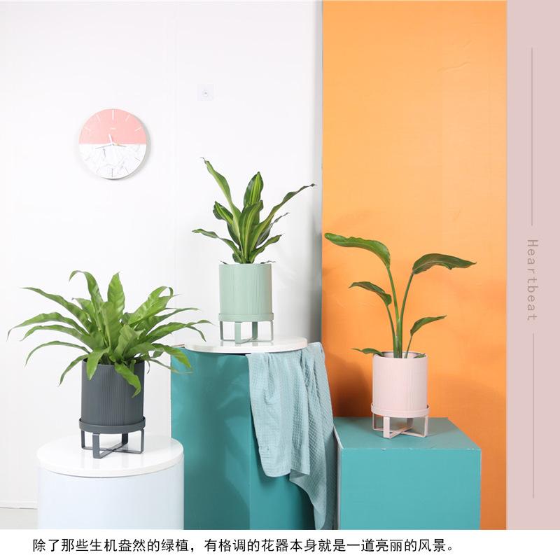 详情8