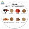 Extracto de Polygonatum Odoratum Materia Prima Alimentaria Polisacárido de Polygonatum Odoratum Polisacárido Crudo Fábrica Punto de Venta Personalizado Polvo de Polygonatum Odoratum Soluble en Agua