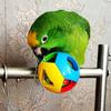 Juguete para loro, pelota de piel de tigre, peonía, Xuan Feng, loro gris, mordedura de King Kong, jaula para pájaros, joyería, suministros para pájaros