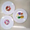 Producto Nuevo Plástico Creativo Impresión Nórdico Plato de Snacks Mesa de Comedor en Casa Snack Snack Snack Plato de Frutos Secos Plato de Frutas