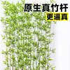 Nuevo Estilo Chino Simulación Bambú Decoración Paisajismo Interior Decoración Suave Adornos Plantas Verdes Pantalla Divisoria Bambú Artificial Encriptado Zen