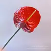 Flor Artificial de Flamenco para Palma de Mano Única Flor de Anturio Grande Impresión 3D Hogar Boda Decoración Suave Flor Artificial al por Mayor