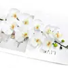 Flor Artificial Meirui de Alta Qualidade 9 Cabeças Orquídea Borboleta Toque Super Realista Flor Artificial Decoração de Mesa Escandinava Arte Floral de Casamento