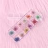 Sticker de Uñas Japonés DIY Transfronterizo Flor Seca 3D Flor de Cinco Pétalos Margarita Calcomanía de Maquillaje de Ojos Gotas de Pegamento Flor Seca 12 Colores