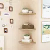 Estante de Esquina Grueso Simple Estantería de Pared para Dormitorio, Colgante de Pared sin Taladro para Cocina, Divisor Doméstico Triangular en Forma de Abanico