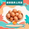 Huevos de corral de Henan, al por mayor y a domicilio, 6/8/10/20/30/40/50 piezas por paquete, huevos de ave de corral alimentada con maíz y pasto