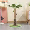 Marco de escalada para gatos de hoja de coco y palma de areca al por mayor, juguete para rascar gatos con cuerda de sisal, rascador, decoración elevada para interiores