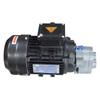 Ventas directas de fábrica Unidad de motor de bomba de engranajes CBB10/B6/CBB4 0.37/0.55KW (bomba de aceite con orejas)