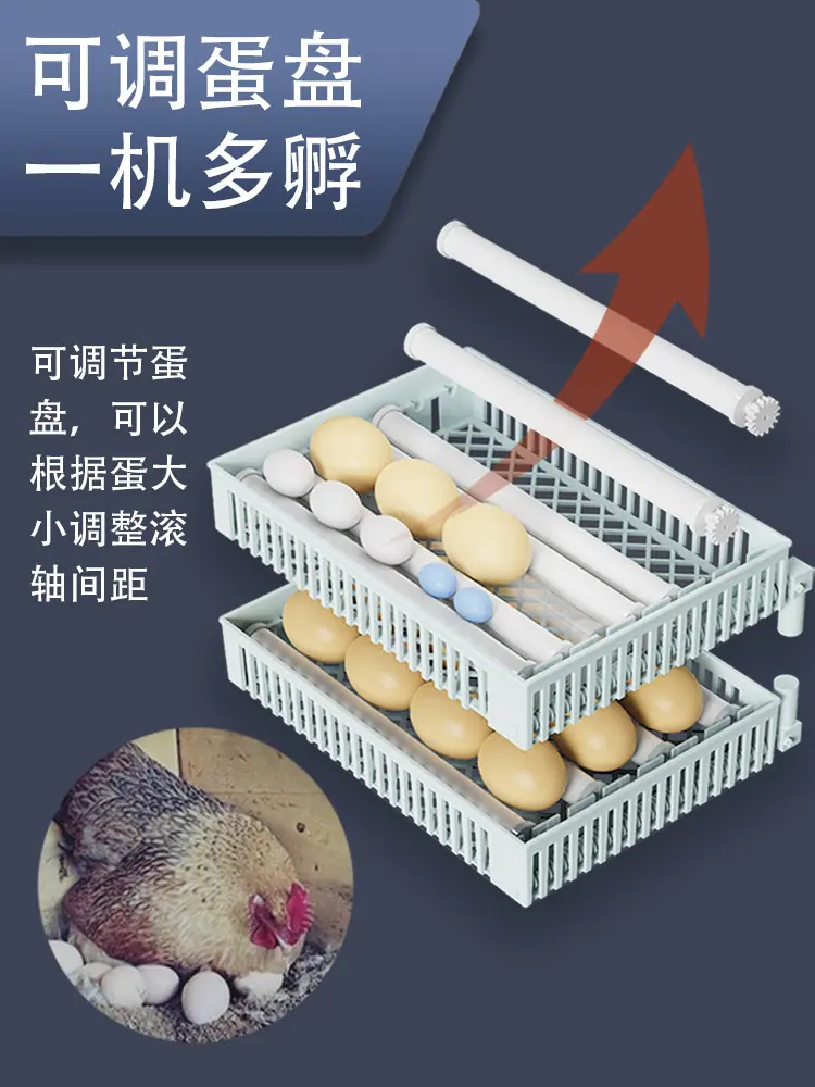 主图3.jpg