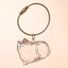 Pingente Saco de Armazenamento Comemorativo de Pelos de Gato Transparente Comemorativo Gashapon Colecionador de Animais de Estimação Chaveiro Cápsula de Cabelo