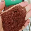 Semilla de Amaranto, Planta de Amaranto, Semilla de Llantén, Hierba Medicinal China, Llantén Dulce, Li Tingzi, Ting Li Zi, Semilla de Llantén