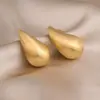 Brincos de Metal Escovado com Design de Nicho Superfície Fosca Fecho de Orelha Gota d'Água Estilo Frio Feminino Moda Distintivo Versátil Sensação de Alto Padrão Brincos