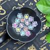 Acrílico Flor de Ameixa Cor Interna Flores Pequenas Acessórios Antigos DIY Grampo de Cabelo Artesanal Acessórios para Tiara Brincos Materiais