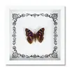 Espécime de Borboleta Real Decoração de Casa DIY Moldura de Madeira para Fotos Suprimentos de Pintura Decorativa Avançada Presente Moderno Presente Criativo