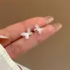 Brincos de Resina Borboleta Tridimensional Super Fada de Verão para Mulheres Agulha de Prata Design Pequeno Temperamento Cool Gradiente Brincos Versáteis