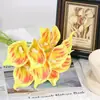 Lirios de Calla Artificiales Decorativos de Venta Caliente Transfronteriza, Ramos Festivos, Arreglos Florales para Jarrones Decorativos, Decoraciones de Mesa