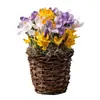 Bulbos de Flor de Crocus para Jardinería Casera, Plantas Resistentes al Frío, Bulbos de Flor, Plántulas de Azafrán, Semillas, Flores en Maceta para Interiores y Exteriores