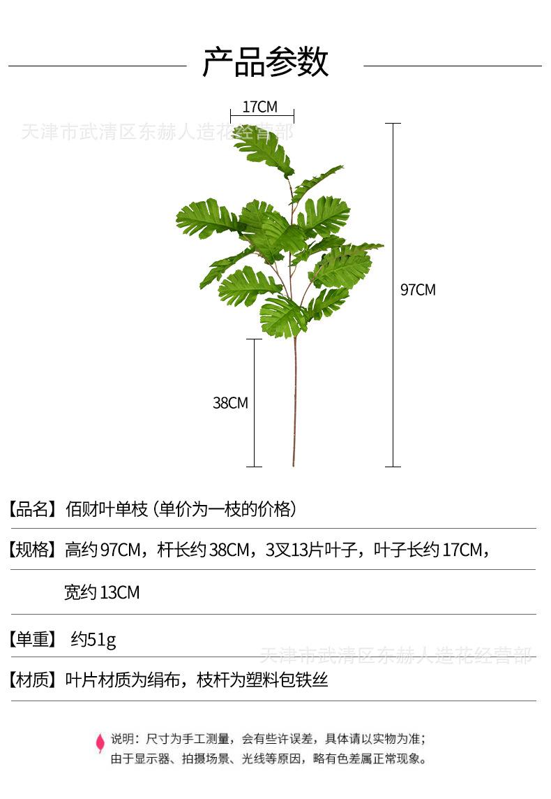 详情_01.jpg