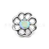Jiangtitanium F136 Joyería de Aleación de Titanio Cabeza de Flor con Incrustaciones de Zircón Transfronteriza G23 Aleación de Titanio Joyería para Perforaciones Corporales Aretes