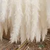 Fábrica en stock al por mayor decoración del hogar flor seca de caña pequeña accesorios para fotografía suministro transfronterizo de Amazon caña seca