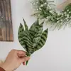 Plantas Verdes Artificiales como Tillandsia y Plantas Piel de Tigre al por Mayor para Decoraciones de Bodas, Manualidades y Flores Falsas Estilo Ins del Fabricante