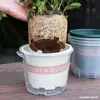 Maceta de rábano verde perezosa absorción automática de agua doble capa plástico maceta interior balcón sin agua transparente almacenamiento de agua maceta galón
