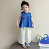 Conjunto de Roupa de Verão com Boneca para Meninas 2026 Novo Estiloso Fashionável Roupa de Verão para Bebê Menina Calça Pantalona Casual Conjunto de Duas Peças