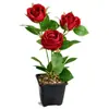 Flores Artificiales, Flores de Plástico, Flores Secas, Rosas Redondas Pequeñas de Tres Cabezas, Arreglos Florales Simulados para Mesas de Comedor, Ramos, Decoraciones de Plantas Pequeñas en Maceta