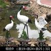 Escultura ao ar livre Fibra de vidro reforçada plástico Animal Simulação Guindaste Guindaste coroado vermelho Jardim piscina de rocha Jardim Villa Decoração Ornamentos