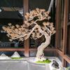 Nuevo Estilo Chino de Gama Alta Tallado Decorativo Ventana Escalera Entrada Pino de Bienvenida Biónico Artificial Verde Interior Paisajismo