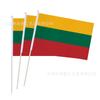 En stock transfronterizo 14 x 21 20 x 28 cm Bandera de Lituania agitada a mano No. 7 No. Bandera nacional de 8 banderas de poliéster con mástil