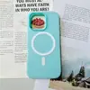 Capa de Celular Magnética Fosca em Gel Duas em Uma Transfronteiriça Adequada para iPhone 17/16 Pro Max com Toque Aveludado de Cor Pura