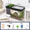 Aquário de Micro-Paisagem para Desktop Transparente para Peixe Betta Doméstico Criativo Porta-Canetas Armazenamento para Quarto de Estudante Aquário de Peixe Dourado