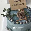 Pinhas Secas Naturais Materiais de Decoração para Árvore de Natal Fotografia de Bolos e Sobremesas Adereços para Fotografia de Buquês Florais Baoshi