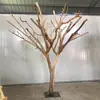 Color Madera Natural Forma de Tronco de Árbol y Ramas Árbol Decorativo Rama de Árbol Madera Maciza Exhibición Perchero