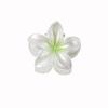 Presilha de Frangipani Colorida Doce de 4cm Venda Quente Transfronteiriça Acessório de Cabelo Doce Acessório de Cabeça Feminino Flor Acessórios de Cabelo Presilha de Cabelo Placa Atacado