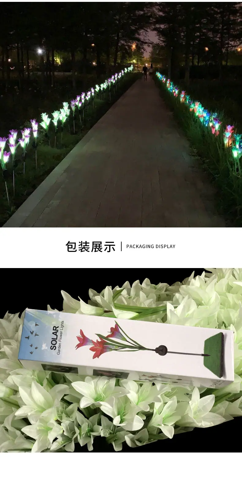 太阳能百合花(备)_11