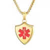 Dianyi joias joias de aço inoxidável atacado novo escudo logotipo médico colar de aço titânio colar longo corrente de suéter