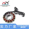 21003-0107 Bobina do Estator do Motor Magnético Compatível com KAWASAKI