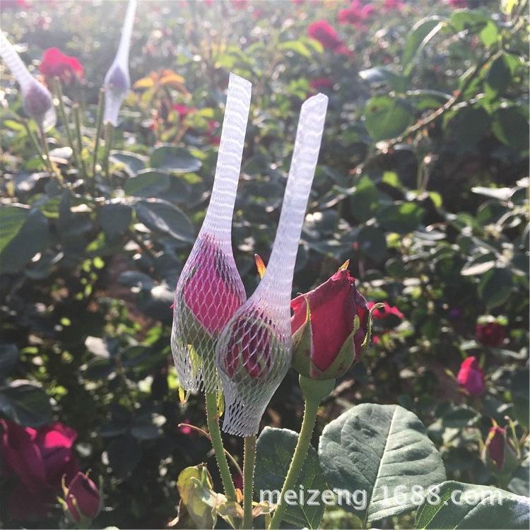 玫瑰花网套 (25)